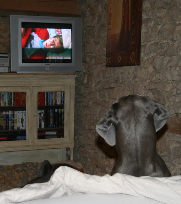 Faythana devant la télé